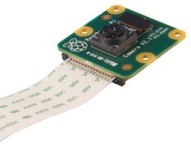 Raspberry Pi Camera Module V2